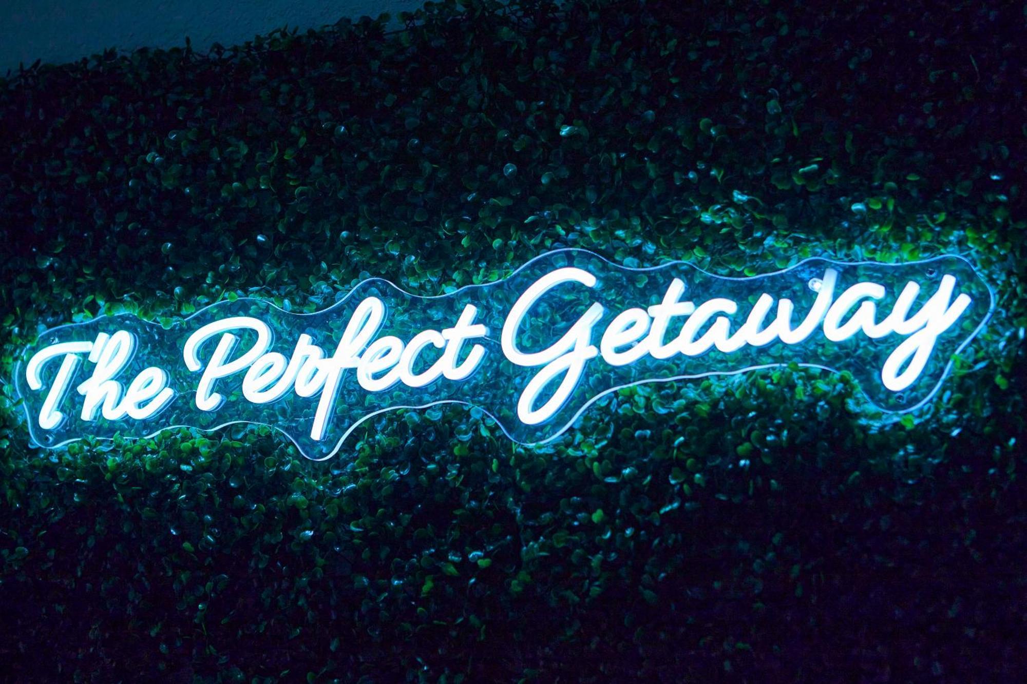 Perfect Getaway Rentals Llc แทมปา ภายนอก รูปภาพ